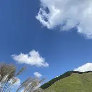 あおこの画像