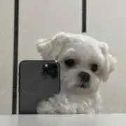 ⸜❤︎⸝の画像