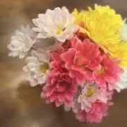 otasimの画像