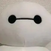 yaccoの画像