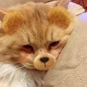 A♡断捨離中!プロフ必須