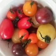 うーふの画像