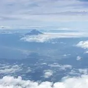 えんびふらいの画像