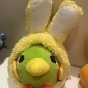 マナの画像