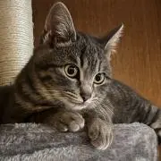 ぽるぽるの画像