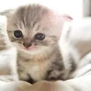 りゅーき