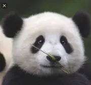 みっちゃんの画像