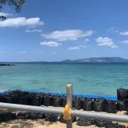 かなえの画像
