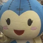 くろの画像