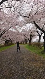 sui meguro