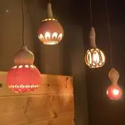 ココの画像