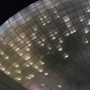 ふくちの画像