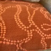 イルカの画像