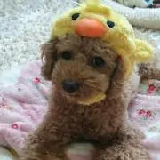 Kumi**の画像