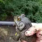 株式会社すーぱーこーじの画像