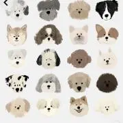 ♡♡♡の画像