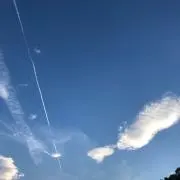 セバスの画像