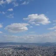 うーろんの画像