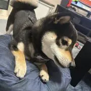断捨離始めました/の画像