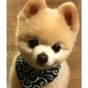 まあ