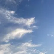 ヨロの画像