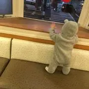 ʕ·ᴥ·ʔ