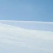 もむの画像