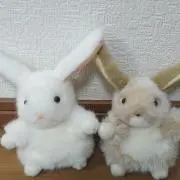 フルーツ95の画像
