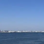 aoの画像