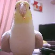 ゆう♪♪の画像