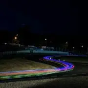 ラウダニキの画像
