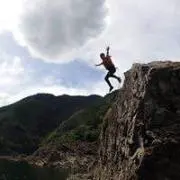 たかの画像
