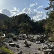 アルの画像