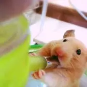 電気屋