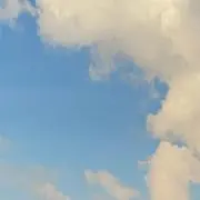 エシディシの画像
