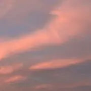 ゆにの画像