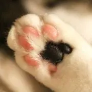 まる