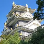 たけの画像