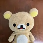 ひーちゃんの画像