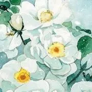 元値2万超_Lily brown などまとめ - メルカリ