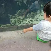 いずみ