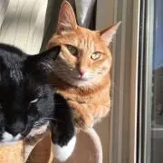 mutyaの画像