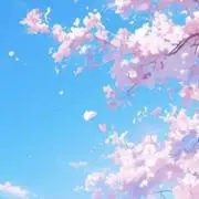桜空