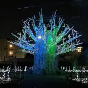 TAKAの画像