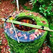 華の画像