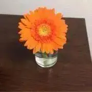 ちゃみの画像