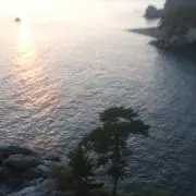 daizu