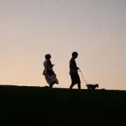 カーリーの画像