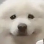 断捨離の画像