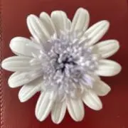 はっさく！！